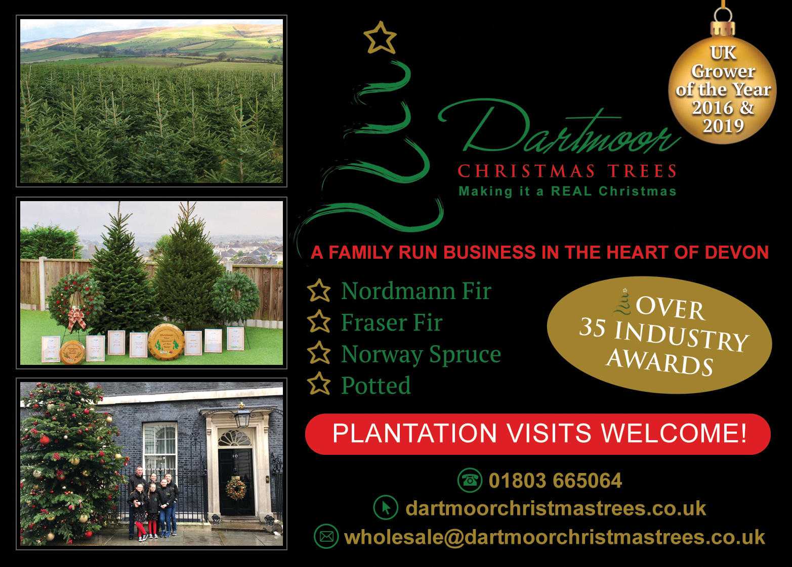 Dartmoor Xmas Trees Advert 132_5x95