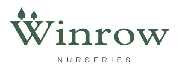 WINROW LOGO